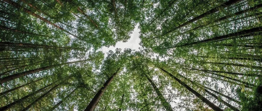 南宫NG·28(中国)相信品牌实力有限公司